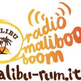 Waxlife and Jolly Mare at Radio Maliboom Boom Italy - http://malibu-rum.it