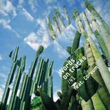 Words On Tracks /41 feat. Corvum