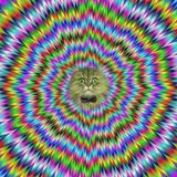 Wasabi- Minimal May Mix