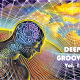 Deep Grooves Vol. 1