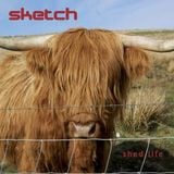 Tracks from the band Sketch album Shed life