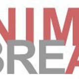 Minimal Breaks
