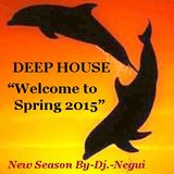 DEEP HOUSE "WELCOME TO SPRING 2015" BY-DJ.-NEGUI