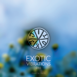 Exotic Vibrations 010 (April 2015)