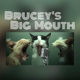 Brucey's Big Mouth 10th August 2015