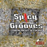 MIKE GREEN @ SPICY GROOVES PODCAST #8