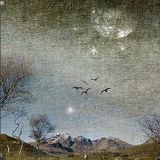 Sublimations and Accretions - ST 2014.11.15