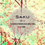 Saku (Electro & Progressive House Mix)