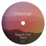 Deepologic - Search For Soul vol.11