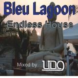 Endless house @ The Blue lagoon