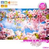 Laurent Tenstone - 4 Season in the Mix - The Spring is My Love 2013 3 - CCRM049