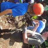 Brixham Museum Archeaological Dig on Berry Head
