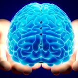 Brain Crunch (27-12-2012)