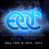 Gareth Emery - Live at Electric Daisy Carnival in New York (19.05.2012)