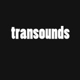 Transounds, Vol. 5: Ill Informed