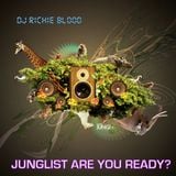 Junglist Are You Ready?