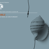 Carlito Briganti - Audible (Saturo Sounds Radio) November 2014