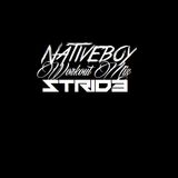 Workout Mix (Stride)