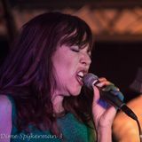 2016-01-24 - 20.00u - Radio501 Blues on Sunday - Rogier van Diesfeldt