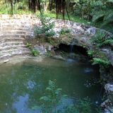 Swamp