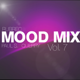 Paul S. & Querry - The Mood Mix. Vol. 7
