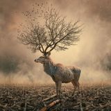 Ecoweb Radio / October 2012 / David Armada & Yann Rauss