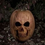 Halloween Weird pre and post