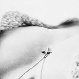 Slowly From Within