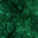 Twin Peetz : Microscopic 020 (January2016)