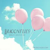 Dragonflies Springtime Groove Mix