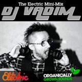 Radio Vah-Deem - DJ Vadim's Electric Mini-Mix