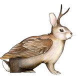 Osterhase Afterhour - SchmeerWG