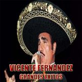 Vicente Fernandez Grandes Exitos
