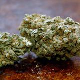 Skunk Trainwreck Mix