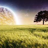 NDO-Sound Fusion 014