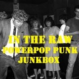 In The Raw- Powerpop Punk Junkbox