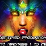 Unidentified Frequency - Into Madness(DJ Mix)