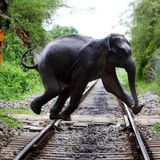 Back on track...