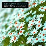 Burningmax Studiomix :: Springtime is Coming