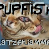 Katzenjammer