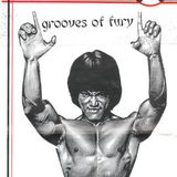 Grooves of Fury - dj Batuta