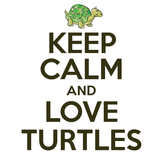 I <3 Turtles!