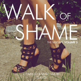 Walk of Shame - The Mixtape - Volume Three by DJ TRAYZE