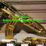 Tony Palas - Beach Bikini Electro Killers