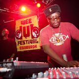 DJ Astroboy - Sound of Wee Dub Festival 2013