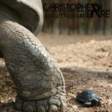 Christopher Erre - July / August Podcast 2014