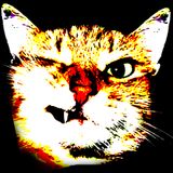 Chopped and/or Screwed by Jtron (Fuzzbox Chicago DJs)