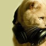 djCat - Feel the Party