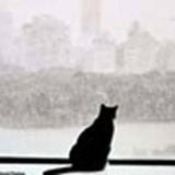 Blues songs for raining week