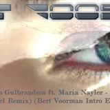 Espen Gulbrandsen ft. Maria Nayler - Perfect Sky (Hodel Remix) (Bert Voorman Intro Edit)